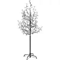 Holy Tree